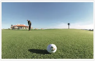 뉴질랜드 북섬 골프와 여행 7일 - 4인 이상 출발